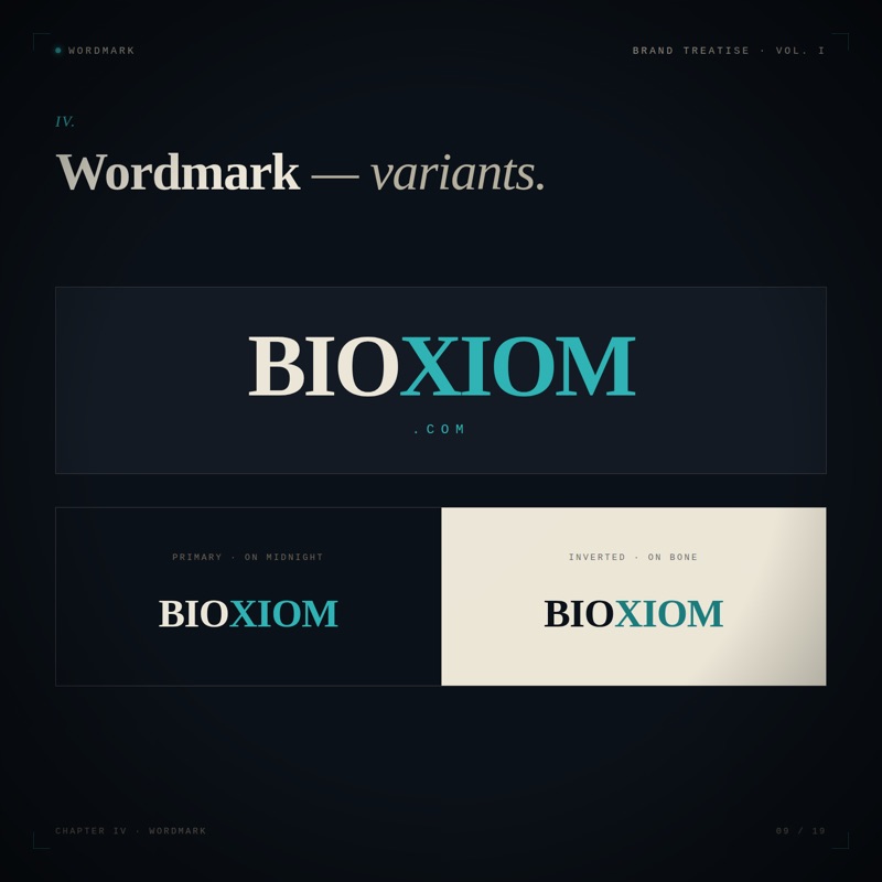 Bioxiom wordmark plate from the brand book